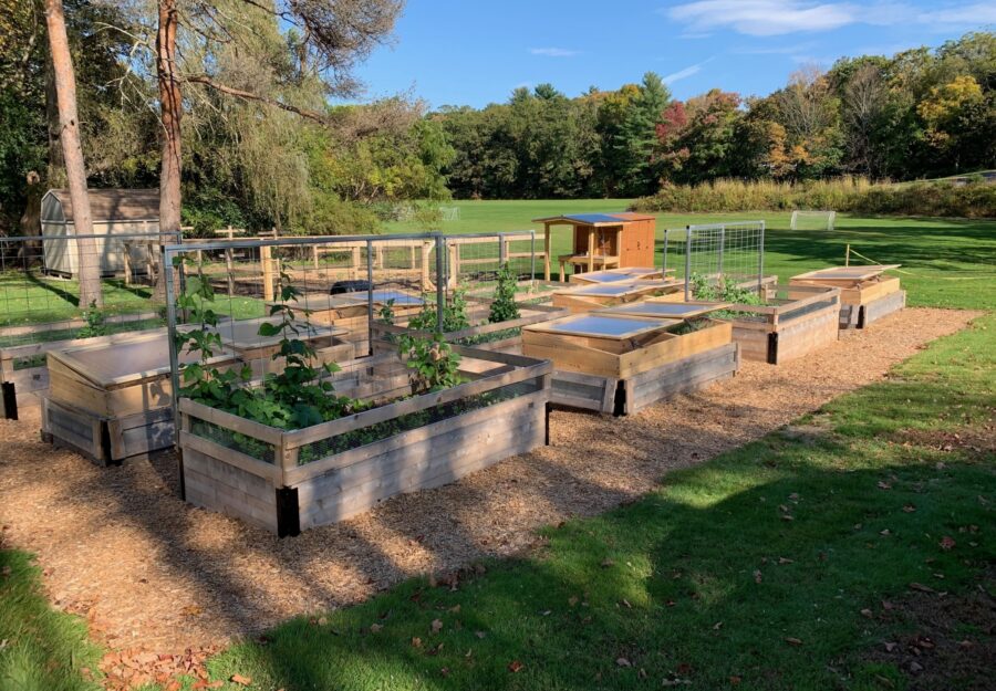 empty garden boxes in an open field on a sunny day