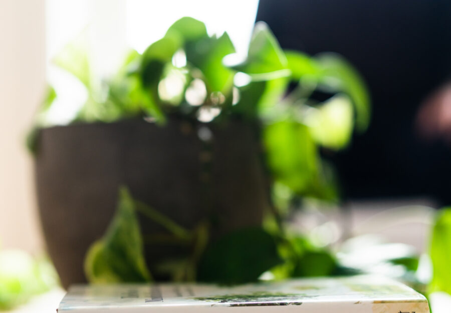 mindfulness in education