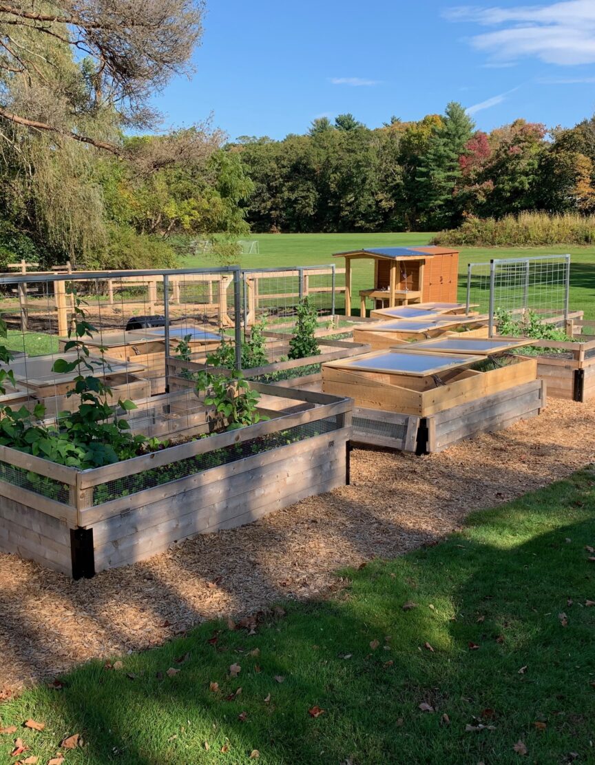 empty garden boxes in an open field on a sunny day